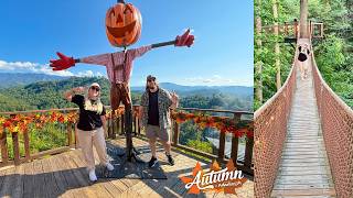 Gatlinburg, TN - Anakeesta in the Fall! Mountaintop Climbs, Rides, Fall Food, Halloween Decor & MORE