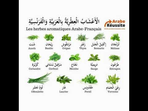 VOUS AVEZ DIT ARABE - Quels sont les épices, aromates et