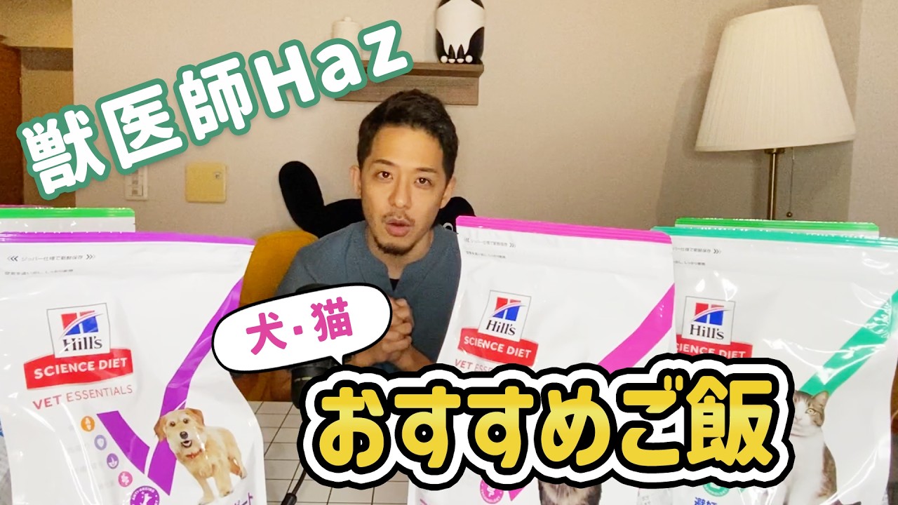 【犬猫ご飯】獣医師Hazおすすめ！ヒルズのベットエッセンシャルシリーズを紹介します