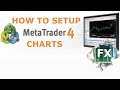 How To Set Up MetaTrader 5 - YouTube