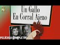 Un gallo en corral ajeno  tele n  jorge negrete