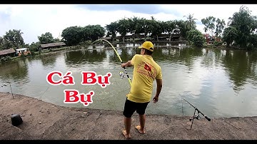 Một Ngày Câu Cá Xệ Nách Tại Hồ Thanh Thật