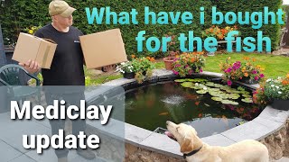 Mediclay update and surprise for the koi. Part 2 of 3 Guide
