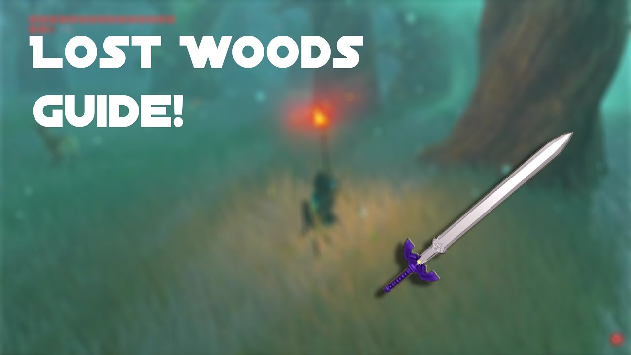 How to get through the Lost Woods Botw YouTube