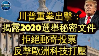 Download Lagu 川普指示加巴德公開“銷毀文件袋” 揭2020年選舉證據🔥民意調查:53% 的美國人認為現場投票比郵寄投票更安全🔥川普威脅對歐盟官員實施旅行禁令 反擊歧視美國科技企業🔥#中國觀察 MP3 Download Lagu 川普指示加巴德公開“銷毀文件袋” 揭2020年選舉證據🔥民意調查:53% 的美國人認為現場投票比郵寄投票更安全🔥川普威脅對歐盟官員實施旅行禁令 反擊歧視美國科技企業🔥#中國觀察 MP3