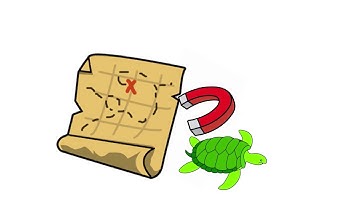 Magnetoreception: The Journey of a Sea Turtle (Science Ambassador Scholarship)