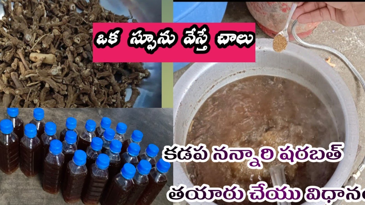 కడప నన్నారి తయారు చేయి విధానం, small business ideas telugu, summer business, aliyasulthan business