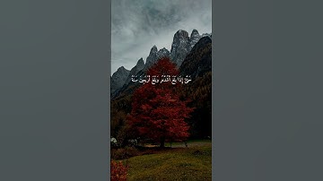 سورة الأحقاف { ١٥ } #ياسر_الدوسري انشر تؤجر #قران