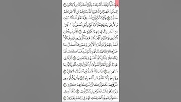 سورة الروم ص 405من آية 6- 15. للحفظ والمراجعة. Holy Quran.