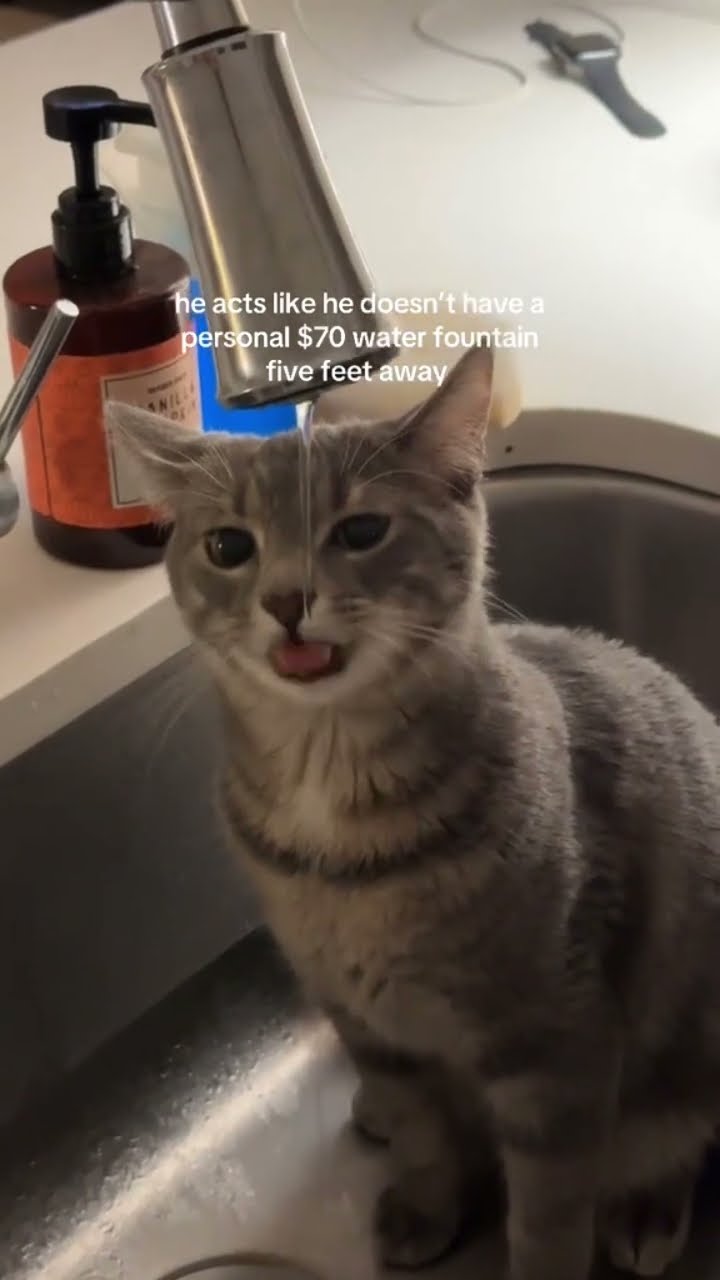 Bro acting like he Don’t got nothing to drink