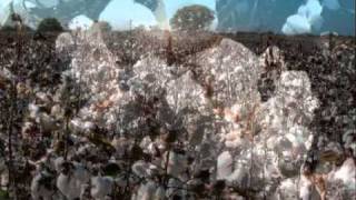 James Last  - Cotton Fields from Happyning.