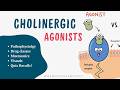 Parasympathomimetics Made Easy Cholinergic Agonists Part 2