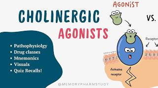 Parasympathomimetics Made Easy | Cholinergic Agonists (Part 2)