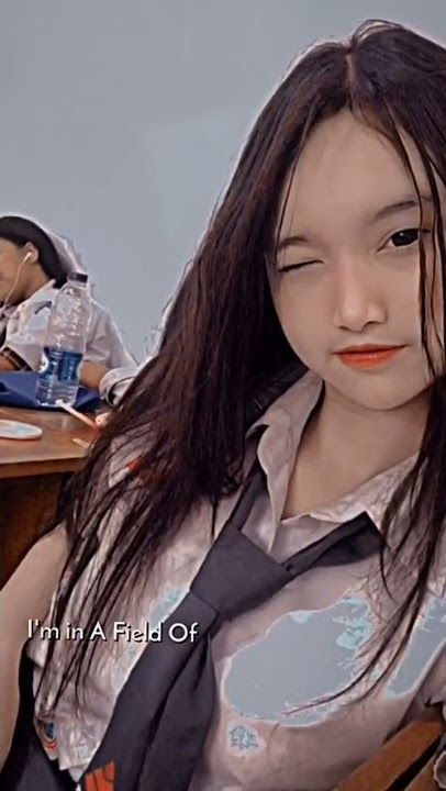 video arachu.