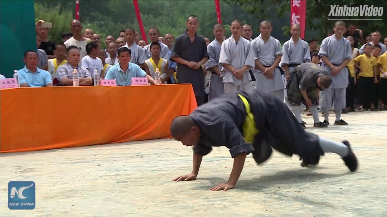 Snake, tiger, or toad? Stunning Kung Fu show at Shaolin Temple in China