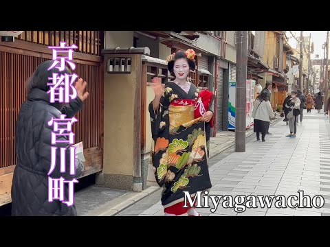 京都 新年の宮川町 舞妓さんと芸妓さんの挨拶まわり 【4K】 花街の始業式2024
