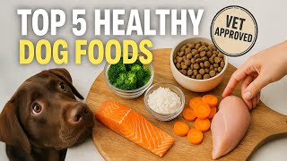 Top 5 Dog Food Ingredients Vets Love (And Why You Should Use Them)