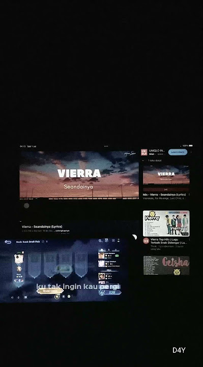 VIERRA - SEANDAINYA (STORY WA MLBB)