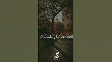 سورة النبأ || القارئ : #عبدالرحمن_مسعد #quran #راحة_نفسية #viral #foryou #اجر_لي_ولكم🤍.