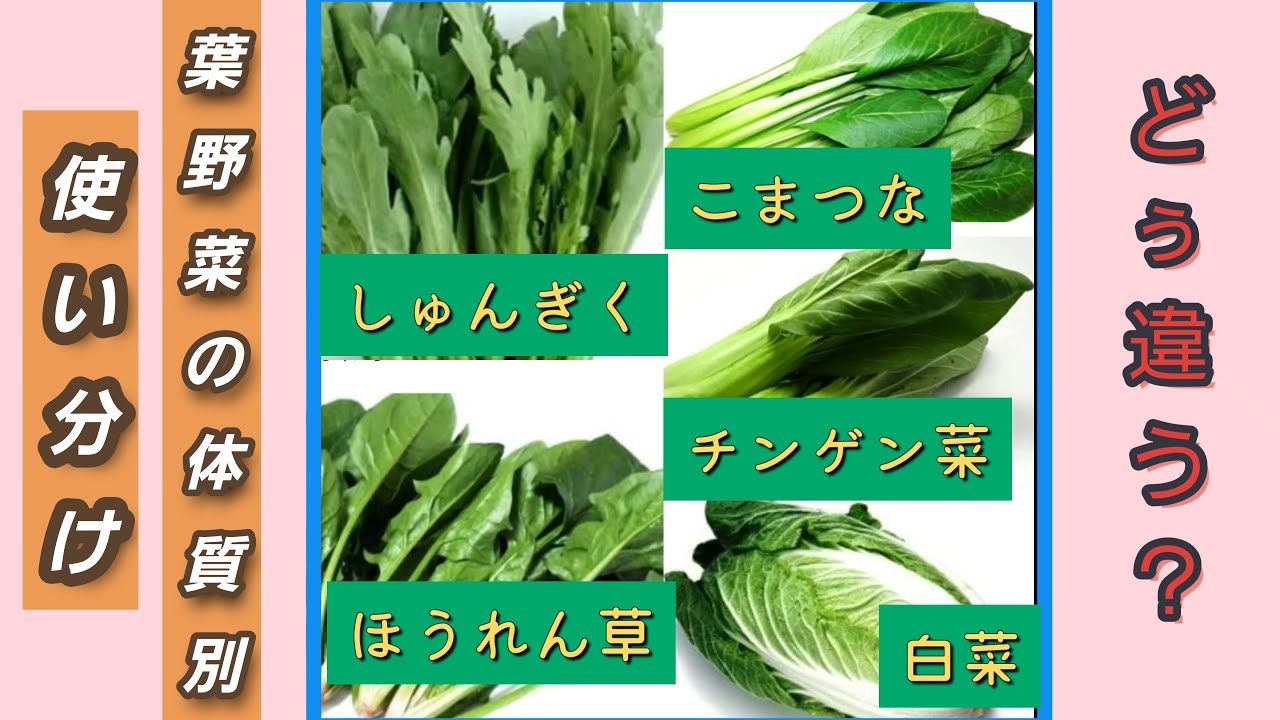 小松菜 と チンゲン 菜 の 違い