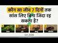 कौन सा जीव 7 दिनों तक सांस रोके बिना जिंदा रह सकता है? | GK Quiz 2026 | Interesting GK Questions