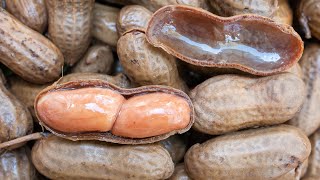 How to Make Southern Boiled Peanuts in the Crockpot