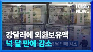 강달러에 외환보유액 넉 달 만에 감소 / KBS  2023.03.06.