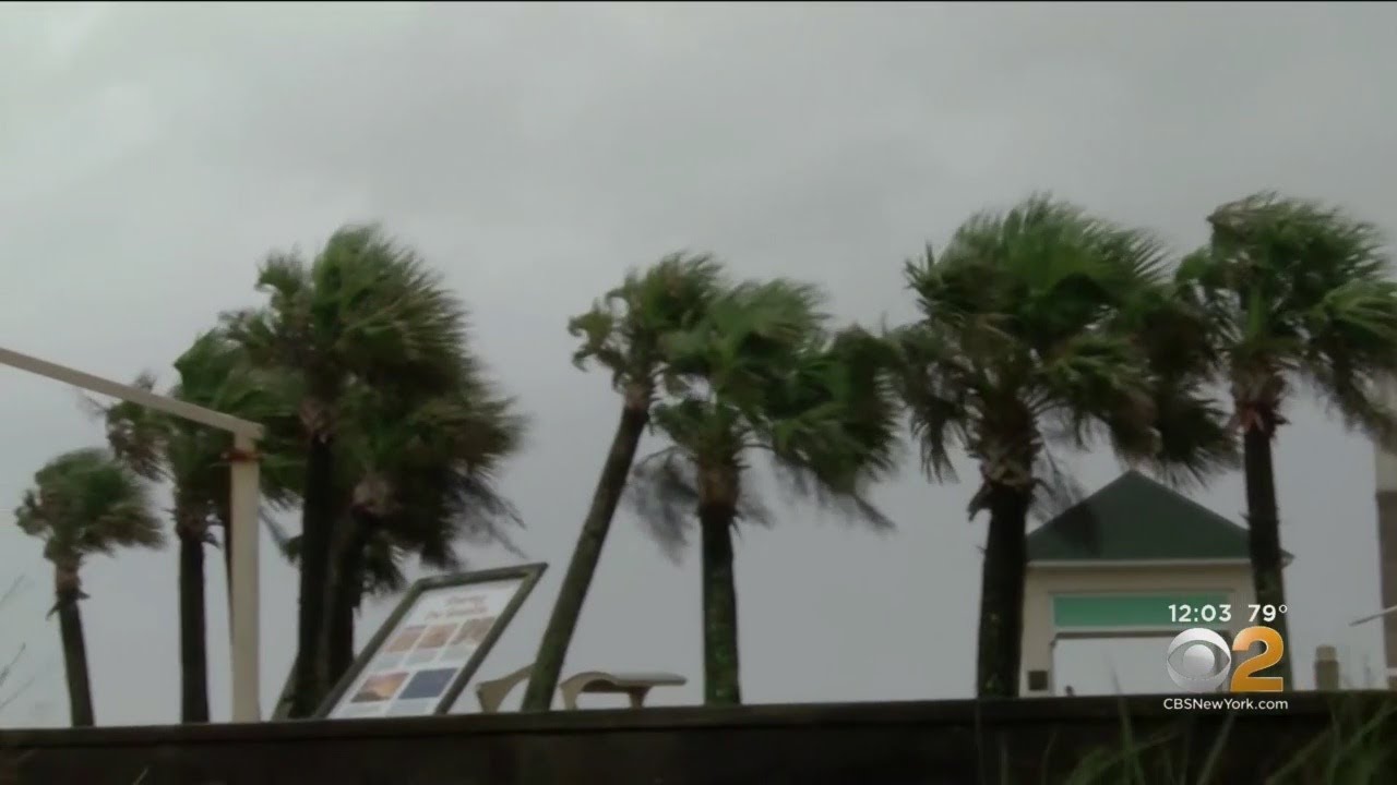 bahamas playas Grand Bahamas Shredded Hurricane Dorian's Power