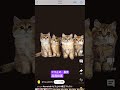 ピタ止めの裏技を見つけました #魔王マカロン #ゲーム攻略 #裏技 #ワザップ