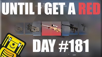 CSGO Souvenir Case A Day Until I Get An AWP Desert Hydra #181