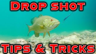 Dropshot Tricks For Hot Summer Fishing! (Beginner To Advanced