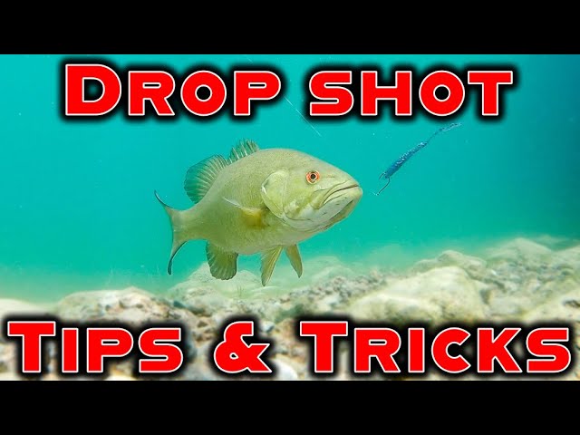 Fishing Drop Shot Weights Rig Kit Sinkers Trokar with Lead for Bass Fishing  with Tackle Box