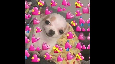 Thanks For 100 subs ( special video for you all :D✨✨ )