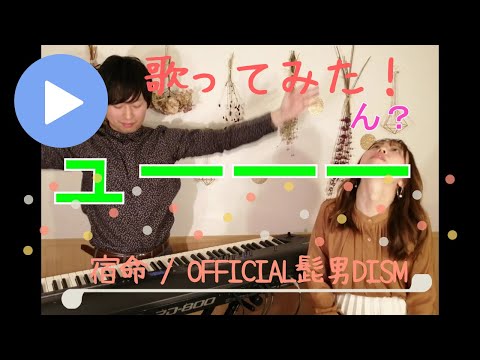 宿命 / Official髭男dism Covered by NacoTomo 【歌ってみた】【弾いてみた】