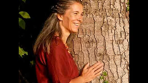 # 8 Sandra Schilling-Engi Kraftquelle Wald Teil2