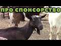 Про спонсорство Хуторка