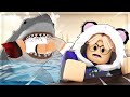 Youtuber roblox malaysia ditelan jerung  sharkbite 2