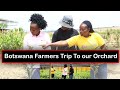 Botswana farmers had a farm tour in our farm #wambuguapples#agribusiness#wonderfulheavenorchard