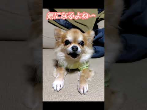 スーパーで流れてる曲気になるよね〜🎵口ずさんじゃうWWW✨🤣