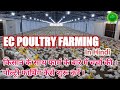 EC Poultry Farming कैसे शुरू करें / Details about EC Poultry Farm/ कितना लाभ हो सकता है । Odisha