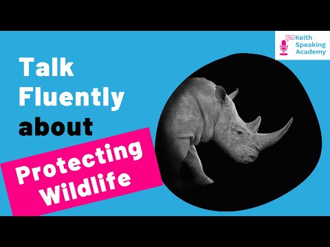 IELTS Speaking Practice: Topic of Protecting Animals