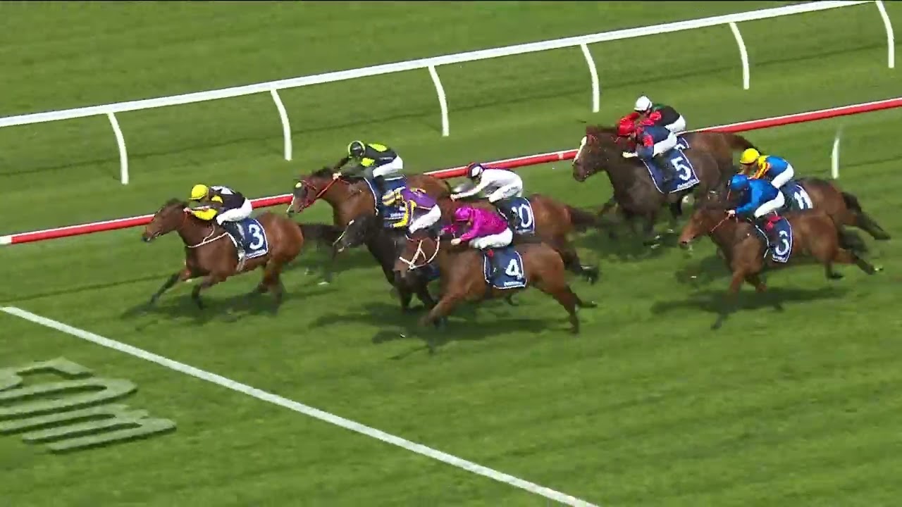 Waverider Buoy wins at Randwick