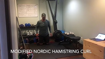Modified Nordic Hamstring Curl