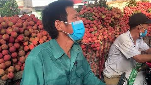 Người dân Lục Ngạn tấp nập đi bán vải, nhiều tuyến đường tắc cứng