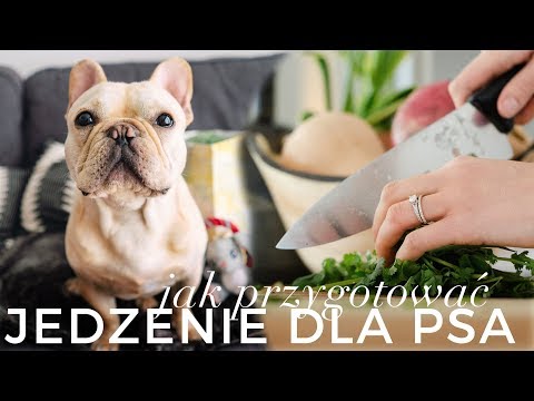 Wideo: Leczenie Heartworm: Jakie są Twoje opcje?