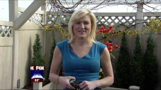 2011-05-290800Jessica-Starrdeena-Centofanti.mpg