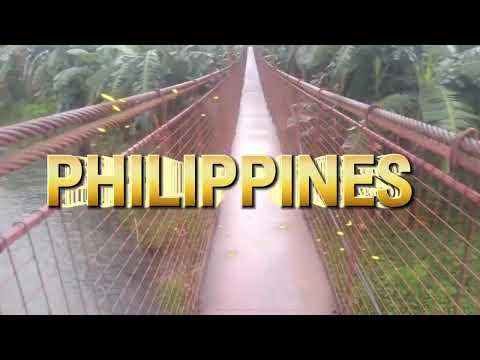 Fading Echoes Lydia Hart