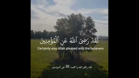 قرآن كريم بصوت القارئ عبدالرحمن مسعد 😍 تلاوة هادئة تريح القلب / حالات واتس اب || Quran Kareem