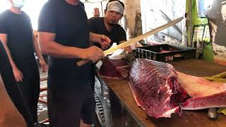 Cutting 538kg bluefin tuna as fast as possible