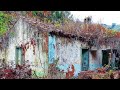 CASAS ABANDONADAS por las FAMILIAS en MEDIO de BOSQUE | Sitios Abandonados